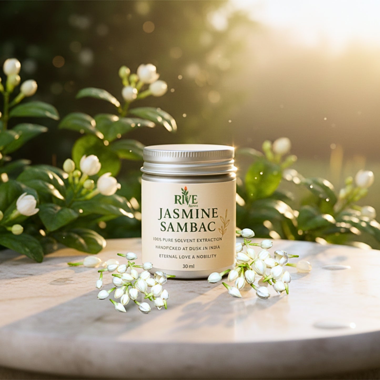JASMINE SAMBAC ABSOLUTE
