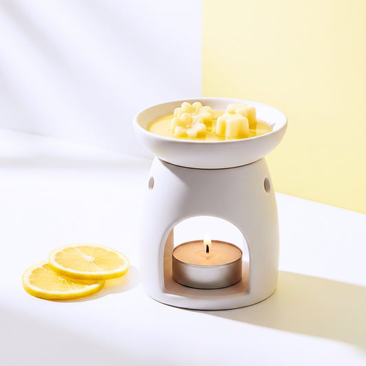 LEMON WAX MELTS