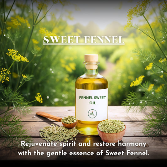 SWEET FENNEL ESSENTIAL OIL